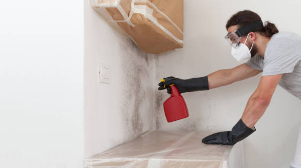 Professional Attic Mold Remediation technician working in Youngsville, NC